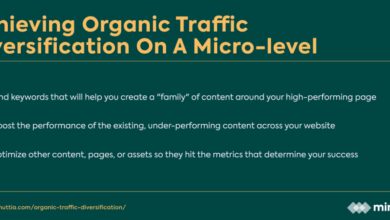 traffic source diversification